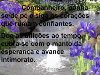 Companheiro, ponha-
se de pé e siga os corações
que rumam confiantes.
Doe as aflições ao tempo,
cubra-se com o manto da
esperança e avance
intimorato.
 