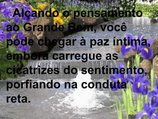 Alçando o pensamento
ao Grande Bem, você
pode chegar à paz íntima,
embora carregue as
cicatrizes do sentimento,
porfiando na conduta
reta.
 