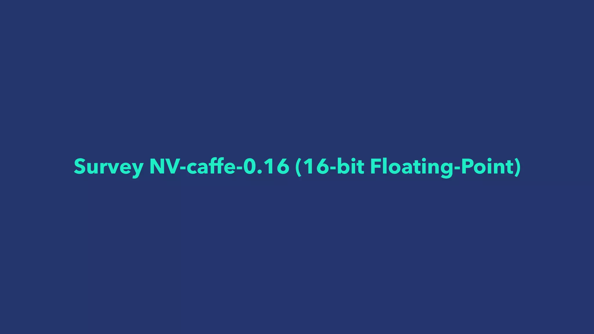 Survey NV-caffe-0.16 (16-bit Floating-Point)
 