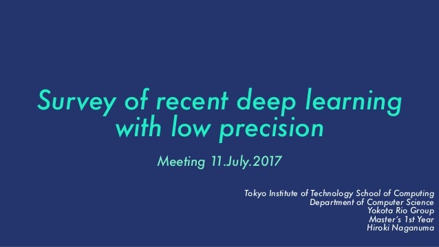 low precision deep learning
