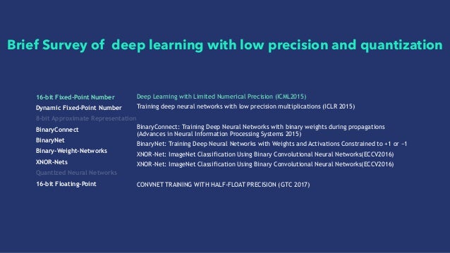 low precision deep learning