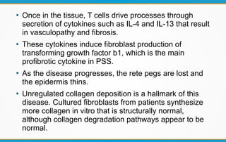 ●
Once in the tissue, T cells drive processes through
secretion of cytokines such as IL-4 and IL-13 that result
in vasculopathy and fibrosis.
●
These cytokines induce fibroblast production of
transforming growth factor b1, which is the main
profibrotic cytokine in PSS.
●
As the disease progresses, the rete pegs are lost and
the epidermis thins.
●
Unregulated collagen deposition is a hallmark of this
disease. Cultured fibroblasts from patients synthesize
more collagen in vitro that is structurally normal,
although collagen degradation pathways appear to be
normal.
 
