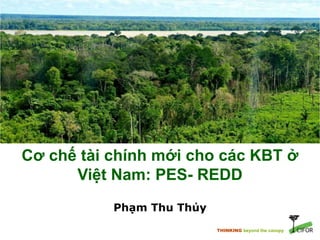 THINKING beyond the canopy
Cơ chế tài chính mới cho các KBT ở
Việt Nam: PES- REDD
Phạm Thu Thủy
 