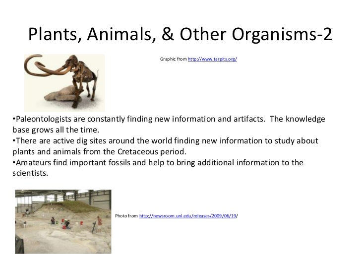 Quaternary Period Animals And Plants