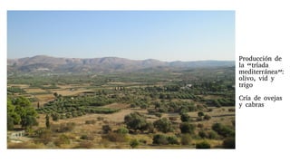 Producción de
la “tríada
mediterránea”:
olivo, vid y
trigo
Cría de ovejas
y cabras
 