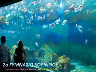 2ο ΓΥΜΝΑΣΙΟ ΚΟΡΙΝΘΟΥ
Cretaquarium- Θαλασσόκοσμος ΗΡΑΚΛΕΙΟ ΚΡΗΤΗΣ
 