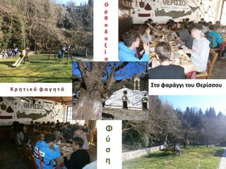 Στο φαράγγι του Θερίσσου
Φ
ύ
σ
η
Ο
ρ
θ
ο
δ
ο
ξ
ί
α
Κ ρ η τ ι κ ό φ α γ η τ ό
 