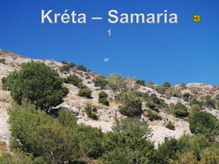 Crete - Samaria - 2008 - 1