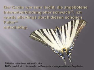 25 leider hatte diese keinen Drucker.
26 Es handelt sich hier um den in Deutschland ausgestorbenen Segelfalter
 