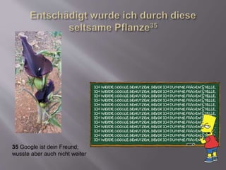 35 Google ist dein Freund;
wusste aber auch nicht weiter
 