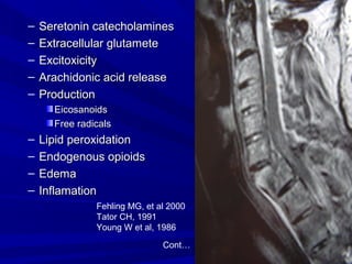 – SSeerreettoonniinn ccaatteecchhoollaammiinneess 
– EExxttrraacceelllluullaarr gglluuttaammeettee 
– EExxcciittooxxiicciittyy 
– AArraacchhiiddoonniicc aacciidd rreelleeaassee 
– PPrroodduuccttiioonn 
EEiiccoossaannooiiddss 
FFrreeee rraaddiiccaallss 
– LLiippiidd ppeerrooxxiiddaattiioonn 
– EEnnddooggeennoouuss ooppiiooiiddss 
– EEddeemmaa 
– IInnffllaammaattiioonn 
Fehling MG, et al 2000 
Tator CH, 1991 
Young W et al, 1986 
Cont… 
 