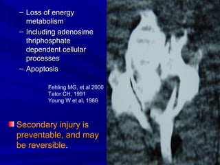 – LLoossss ooff eenneerrggyy 
mmeettaabboolliissmm 
– IInncclluuddiinngg aaddeennoossiimmee 
tthhrriipphhoosspphhaattee 
ddeeppeennddeenntt cceelllluullaarr 
pprroocceesssseess 
– AAppooppttoossiiss 
Fehling MG, et al 2000 
Tator CH, 1991 
Young W et al, 1986 
SSeeccoonnddaarryy iinnjjuurryy iiss 
pprreevveennttaabbllee,, aanndd mmaayy 
bbee rreevveerrssiibbllee.. 
 