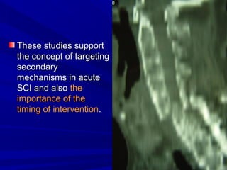 TThheessee ssttuuddiieess ssuuppppoorrtt 
tthhee ccoonncceepptt ooff ttaarrggeettiinngg 
sseeccoonnddaarryy 
mmeecchhaanniissmmss iinn aaccuuttee 
SSCCII aanndd aallssoo tthhee 
iimmppoorrttaannccee ooff tthhee 
ttiimmiinngg ooff iinntteerrvveennttiioonn.. 
 