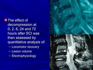 TThhee eeffffeecctt ooff 
ddeeccoommpprreessssiioonn aatt 
00,, 22,, 66,, 2244 aanndd 7722 
hhoouurrss aafftteerr SSCCII wwaass 
tthheenn aasssseesssseedd bbyy 
qquuaannttiittaattiivvee aannaallyyssiiss ooff:: 
– LLooccoommoottoorr rreeccoovveerryy 
– LLeessiioonn vvoolluummee 
– EElleeccttrroopphhyyssiioollooggyy 
 