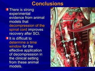 CCoonncclluussiioonnss 
TThheerree iiss ssttrroonngg 
eexxppeerriimmeennttaall 
eevviiddeennccee ffrroomm aanniimmaall 
mmooddeellss tthhaatt 
ddeeccoommpprreessssiioonn ooff tthhee 
ssppiinnaall ccoorrdd iimmpprroovveess 
rreeccoovveerryy aafftteerr SSCCII.. 
IItt iiss ddiiffffiiccuulltt ttoo 
ddeetteerrmmiinnee aa ttiimmee 
wwiinnddooww ffoorr tthhee 
eeffffeeccttiivvee aapppplliiccaattiioonn 
ooff ddeeccoommpprreessssiioonn iinn 
tthhee cclliinniiccaall sseettttiinngg 
ffrroomm tthheessee aanniimmaall 
mmooddeellss.. 
 