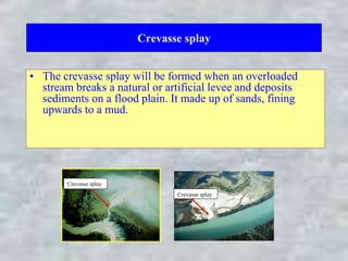 Crevasse splay
• The crevasse splay will be formed when an overloaded
stream breaks a natural or artificial levee and deposits
sediments on a flood plain. It made up of sands, fining
upwards to a mud.
Crevasse splay
Crevasse splay
 