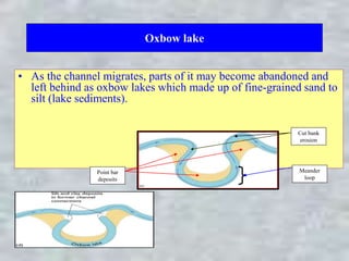 Oxbow lake
• As the channel migrates, parts of it may become abandoned and
left behind as oxbow lakes which made up of fine-grained sand to
silt (lake sediments).
Point bar
deposits
Cut bank
erosion
Meander
loop
 