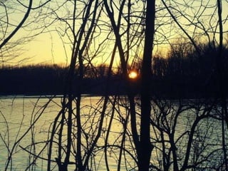 Creve Coeur Lake ݺߣshow