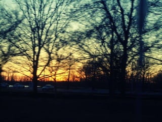 Creve Coeur Lake ݺߣshow