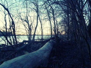 Creve Coeur Lake ݺߣshow