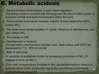1. Normal function of the kidney in acid - base regulation.
  The kidney works in concert with the lungs and the blood buffer system to
  maintain normal acid-base homeostasis within the body.
a. The proximal renal tubule excretes majority of acid (reabsorbs HCO3,
  makes NH3).
b. The distal renal tubule excretes H+ (under influence of aldosterone), and
  also makes NH3.
2. The kidney in CRF
a. Development of acidosis
   Compensatory mechanisms maintain acid - base status until GFR has
   decreased to < 5 - 20% of normal.
b. Role of ammonia
i. H+ excretion is sustained mostly by increasing production of NH3 (H+
   trapped in urine as NH4+).
ii. Even with compensatory increase in NH3 production/nephron there is a
    total decrease in NH3 production due to the overall loss of functional 27
    nephrons in advanced RF.
 