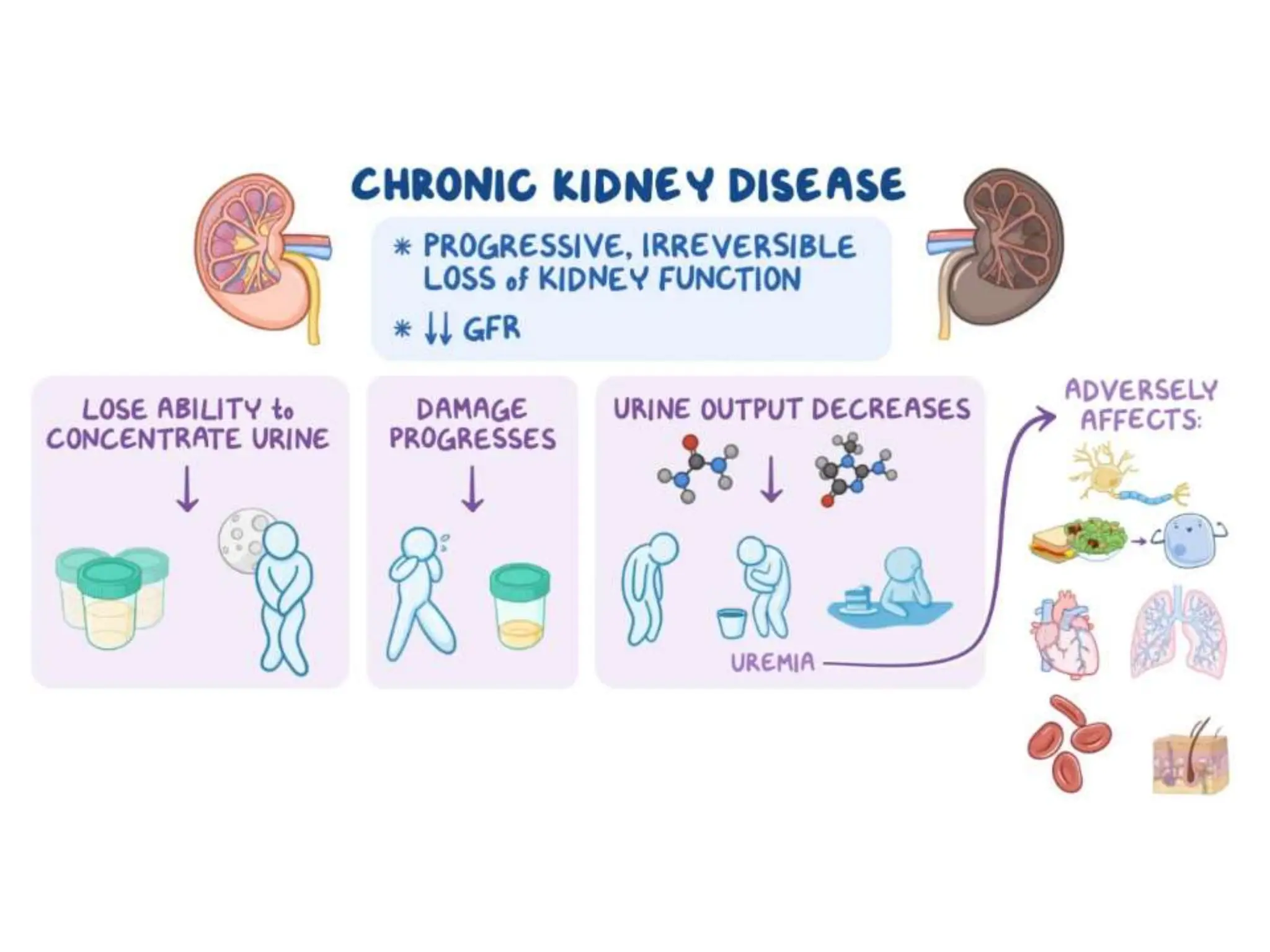 Pharmacotherapy of Chronic Renal Failure.pptx
