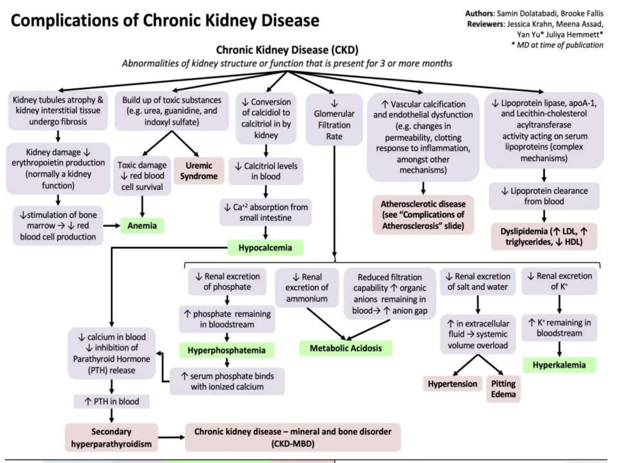 Pharmacotherapy of Chronic Renal Failure.pptx
