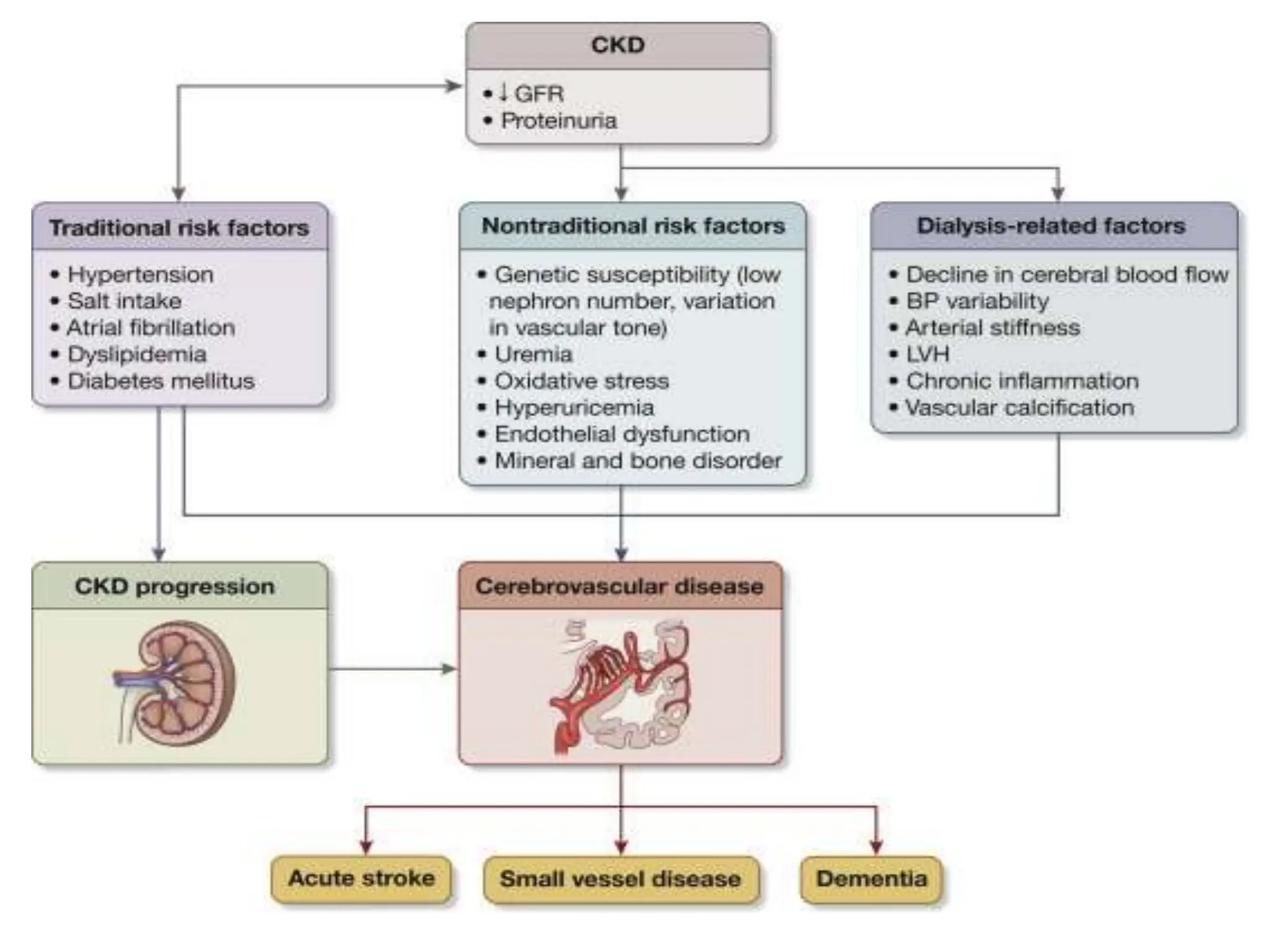 Pharmacotherapy of Chronic Renal Failure.pptx