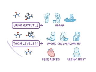Pharmacotherapy of Chronic Renal Failure.pptx