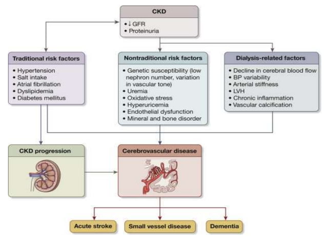 Pharmacotherapy of Chronic Renal Failure.pptx
