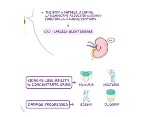 Pharmacotherapy of Chronic Renal Failure Detailed.pptx