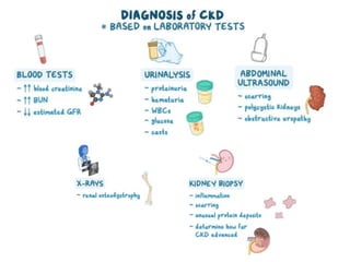 Pharmacotherapy of Chronic Renal Failure Detailed.pptx