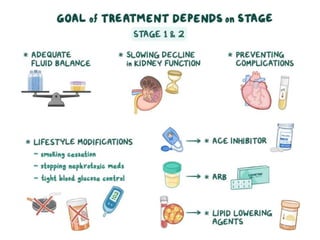 Pharmacotherapy of Chronic Renal Failure Detailed.pptx