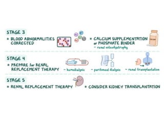 Pharmacotherapy of Chronic Renal Failure Detailed.pptx