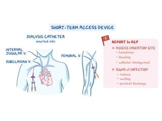 Pharmacotherapy of Chronic Renal Failure Detailed.pptx