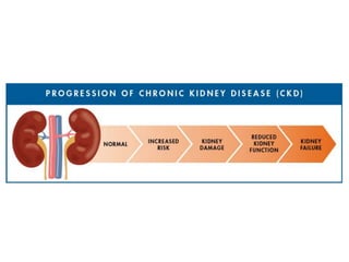 Pharmacotherapy of Chronic Renal Failure Detailed.pptx