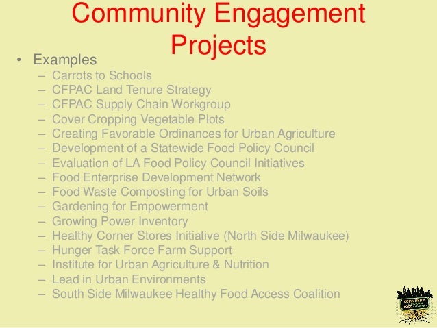 evaluating innovation and promoting success in community and regional food systems 13 638