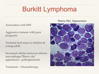 Burkitt Lymphoma
Association with EBV
Aggressive tumour with poor
prognosis
Terminal ileal mass in children &
young adult
Increased cellular turnover attracts
macrophages“Starry sky”
appearance - pathognomonic
Treatment – Chemotherapy
Starry-Sky Appearance
 