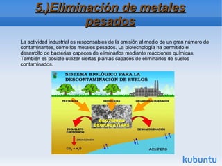 5.)Eliminación de metales5.)Eliminación de metales
pesadospesados
La actividad industrial es responsables de la emisión al medio de un gran número de
contaminantes, como los metales pesados. La biotecnología ha permitido el
desarrollo de bacterias capaces de eliminarlos mediante reacciones químicas.
También es posible utilizar ciertas plantas capaces de eliminarlos de suelos
contaminados.
 