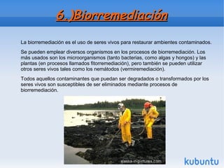 6.)Biorremediación6.)Biorremediación
La biorremediación es el uso de seres vivos para restaurar ambientes contaminados.
Se pueden emplear diversos organismos en los procesos de biorremediación. Los
más usados son los microorganismos (tanto bacterias, como algas y hongos) y las
plantas (en procesos llamados fitorremediación), pero también se pueden utilizar
otros seres vivos tales como los nemátodos (vermiremediación).
Todos aquellos contaminantes que puedan ser degradados o transformados por los
seres vivos son susceptibles de ser eliminados mediante procesos de
biorremediación.
 