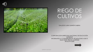 RIEGO DE
CULTIVOS
GALLEGO LARA DAINETH SABINA
CORPORACION UNIFICADA NACIONAL DE EDUCACIÓN
SUPERIOR
INFORMATICA Y CONVERGENCIA TECNOLOGICA 54213
DILSA ENITH TRIANA MARTINEZ
BOGOTA 2020
06/09/2020 DAINETH GALLEGO
 