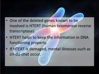 • One of the deleted genes known to be
involved is HTERT (human telomerase reverse
transcriptase).
• HTERT helps to keep the information in DNA
functioning properly.
• If HTERT is damaged, mental illnesses such as
cri-du-chat occur.
 