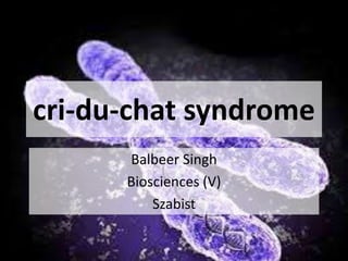 cri-du-chat syndrome
Balbeer Singh
Biosciences (V)
Szabist
 