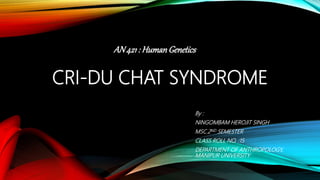 CRI-DU CHAT SYNDROME
By :
NINGOMBAM HEROJIT SINGH
MSC.2ND SEMESTER
CLASS ROLL NO. :15
DEPARTMENT OF ANTHROPOLOGY,
MANIPUR UNIVERSITY
AN421: HumanGenetics
 