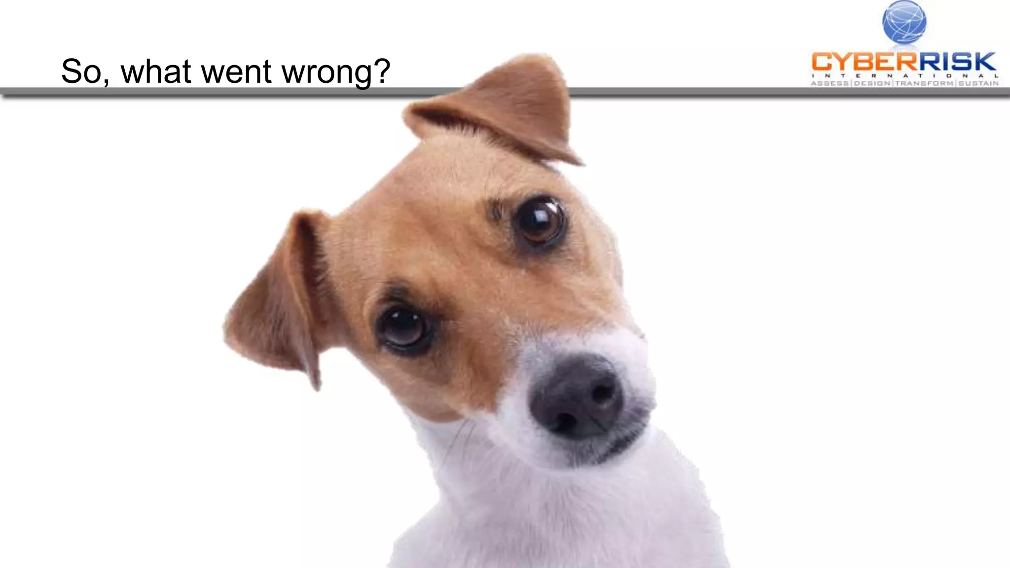 So, what went wrong?
 