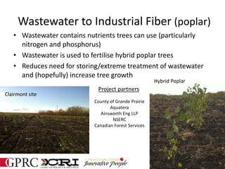 Wastewater to Industrial Fiber (poplar)
• Wastewater contains nutrients trees can use (particularly
nitrogen and phosphorus)
• Wastewater is used to fertilise hybrid poplar trees
• Reduces need for storing/extreme treatment of wastewater
and (hopefully) increase tree growth
Hybrid Poplar
County of Grande Prairie
Aquatera
Ainsworth Eng LLP
NSERC
Canadian Forest Services
Clairmont site
Project partners
 