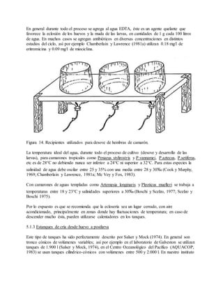 En general durante todo el proceso se agrega al agua EDTA, éste es un agente quelante que
favorece la eclosión de los huevos y la muda de las larvas, en cantidades de 1 g cada 100 litros
de agua. En muchos casos se agregan antibióticos en diversas concentraciones en distintos
estadios del ciclo, así por ejemplo Chamberlain y Lawrence (1981a) utilizan 0.18 mg/l de
eritromicina y 0.09 mg/l de miociclina.
Figura 14. Recipientes utilizados para desove de hembras de camarón.
La temperatura ideal del agua, durante todo el proceso de cultivo (desove y desarrollo de las
larvas), para camarones tropicales como Penaeus stylirostris y P.vannamei, P.aztecus, P.setiferus,
etc es de 28°C no debiendo nunca ser inferior a 24°C ni superior a 32°C. Para estas especies la
salinidad de agua debe oscilar entre 25 y 35% con una media entre 28 y 30‰ (Cook y Murphy,
1969; Chamberlain y Lawrence, 1981a; Mc Vey y Fox, 1983).
Con camarones de aguas templadas como Artemesia longinaris y Pleoticus muelleri se trabaja a
temperaturas entre 18 y 23°C y salinidades superiores a 30‰ (Boschi y Scelzo, 1977; Scelzo y
Boschi 1975).
Por lo expuesto es que se recomienda que la eclosería sea un lugar cerrado, con aire
acondicionado, principalmente en zonas donde hay fluctuaciones de temperatura; en caso de
descender mucho ésta, pueden utilizarse calentadores en los tanques.
5.1.3 Estanques de cría desde huevo a postlarva
Este tipo de tanques ha sido perfectamente descrito por Salser y Mock (1974). En general son
tronco cónicos de volúmenes variables; así por ejemplo en el laboratorio de Galveston se utilizan
tanques de 1.900 l (Salser y Mock, 1974), en el Centro Oceanológico del Pacífico (AQUACOP,
1983) se usan tanques cilíndrico-cónicos con volúmenes entre 500 y 2.000 l. En nuestro instituto
 