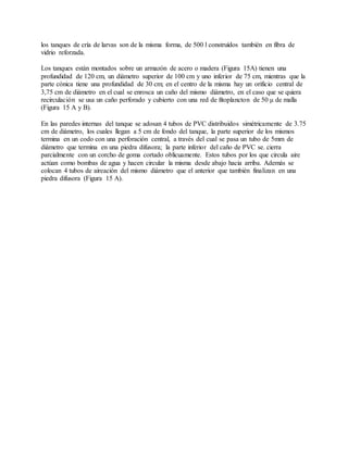 los tanques de cría de larvas son de la misma forma, de 500 l construídos también en fibra de
vidrio reforzada.
Los tanques están montados sobre un armazón de acero o madera (Figura 15A) tienen una
profundidad de 120 cm, un diámetro superior de 100 cm y uno inferior de 75 cm, mientras que la
parte cónica tiene una profundidad de 30 cm; en el centro de la misma hay un orificio central de
3,75 cm de diámetro en el cual se enrosca un caño del mismo diámetro, en el caso que se quiera
recirculación se usa un caño perforado y cubierto con una red de fitoplancton de 50 μ de malla
(Figura 15 A y B).
En las paredes internas del tanque se adosan 4 tubos de PVC distribuidos simétricamente de 3.75
cm de diámetro, los cuales llegan a 5 cm de fondo del tanque, la parte superior de los mismos
termina en un codo con una perforación central, a través del cual se pasa un tubo de 5mm de
diámetro que termina en una piedra difusora; la parte inferior del caño de PVC se. cierra
parcialmente con un corcho de goma cortado oblicuamente. Estos tubos por los que circula aire
actúan como bombas de agua y hacen circular la misma desde abajo hacia arriba. Además se
colocan 4 tubos de aireación del mismo diámetro que el anterior que también finalizan en una
piedra difusora (Figura 15 A).
 