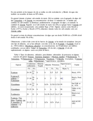 En este período en los tanques de cría se realiza no sólo recirculación y filtrado de agua sino
también un recambio de hasta un 80% diario.
En general durante el primer sub-estadio de mysis (MI) se continúa con el agregado de algas del
tipo Tetraselmis y de Artemia en concentraciones de hasta 1.5 animales/ml. A medida que
cambian los sub-estadios se disminuye paulatinamente el agregado de algas y se aumenta la
cantidad de Artemia llegando en el sub-estadio de mysis tres (MIII) a agregar hasta 4 Artemia por
mililitro, en casos excepcionales esta cantidad llega a 9/ml. Algunos autores como Boschi y
Scelzo (1977) y Scelzo y Boschi (1975), alimentan durante todos los sub-estadios solo con
Artemia salina.
En general se trata de obtener concentraciones de algas que van desde 50.000 cls. a 20.000 cls/ml
desde el sub-estadio MI al MIII.
Ultimamente y dado el alto costo de los huevos de Artemia se ha tratado de reemplazar ésta por
otro tipo de alimento, así se han utilizado con éxito en la cría de P.notialis y P.schmitti (Leal et
al., 1985) rotíferos (Brachionus plicatilis) en concentraciones de 10 individuos por mililitro
combinados con un cultivo bialgal de Tetraselmis (20 cls./ml) y Chlorella (2 cls./ml)
suplementando en algunos casos con yema de huevo.
Tabla 4. Tipos de alimentos, utilizados para distintos subestadios de protozoea en algunas
especies del género Penaeus, Artemesia longinaris y Pleoticus muelleri (S:Skeletonema, T;
Tetraseimis, Th:Thalassiosira, Ch:Chaetoceros, I:Isochrysis, C:Chlorella, L:Levadura, A:Artemia
salina, B:Brachionus), *supervivencia a postlarva
Especie
Condiciones
ambientales
Alimento
Nauplii
Alimento Protozoea
Supervivencia
a
Fuente
T°C S% PI PII PIII Mysis %
P.aztecus 28–30
27–
35
S S S,T S,T 95 Mock, 1974
P.aztecus.P.
setiferus y
P.duorarum
27–30
28–
30
S S T T 80*
Mock y Neal,
1977
P.kerathurus 27–30
31–
33
S S,Ch S,T,B S,T,B 99
San Feliú et
al., 1976
P.kerathurus 23–25 26 S S S S 90
Yúfera et al.,
1984
P.stylirostris 28 32 S S,L,Th S,L,T S,L,T 48
Mock et al.,
1980
P.aztecus, P.in-
dicus, P.japoni- cus,
P. monodon, P.
vannamei y P.
stylirostris
25–29 35 I I,Ch I,Ch Ch,A -
AQUACOP.
1983
 