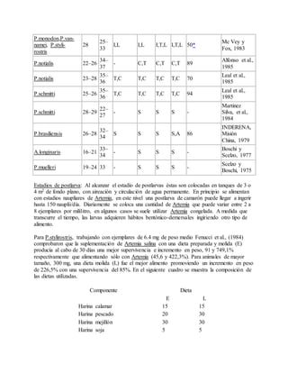 P.monodon,P.van-
namei, P.styli-
rostris
28
25–
33
I,L I,L I,T,L I,T,L 50*
Mc Vey y
Fox, 1983
P.notialis 22–26
34–
37
- C,T C,T C,T 89
Alfonso et al.,
1985
P.notialis 23–28
35–
36
T,C T,C T,C T,C 70
Leal et al.,
1985
P.schmitti 25–26
35–
36
T,C T,C T,C T,C 94
Leal et al.,
1985
P.schmitti 28–29
22–
27
- S S S -
Martinez
Silva, et al.,
1984
P.brasiliensis 26–28
32–
34
S S S S,A 86
INDERENA,
Misión
China, 1979
A.longinaris 16–21
33–
34
- S S S -
Boschi y
Scelzo, 1977
P.muelleri 19–24 33 - S S S -
Scelzo y
Boschi, 1975
Estadios de postlarva: Al alcanzar el estadío de postlarvas éstas son colocadas en tanques de 3 o
4 m2 de fondo plano, con aireación y circulación de agua permanente. En principio se alimentan
con estadios naupliares de Artemia, en este nivel una postlarva de camarón puede llegar a ingerir
hasta 150 nauplii/día. Diariamente se coloca una cantidad de Artemia que puede variar entre 2 a
8 ejemplares por mililitro, en algunos casos se suele utilizar Artemia congelada. A medida que
transcurre el tiempo, las larvas adquieren hábitos bentónico-demersales ingiriendo otro tipo de
alimento.
Para P.stylirostris, trabajando con ejemplares de 6.4 mg de peso medio Fenucci et al., (1984)
comprobaron que la suplementación de Artemia salina con una dieta preparada y molida (E)
producía al cabo de 30 días una mejor supervivencia e incremento en peso, 91 y 749,1%
respectivamente que alimentando sólo con Artemia (45,6 y 422,3%). Para animales de mayor
tamaño, 300 mg, una dieta molida (L) fue el mejor alimento promoviendo un incremento en peso
de 226,5% con una supervivencia del 85%. En el siguiente cuadro se muestra la composición de
las dietas utilizadas.
Componente Dieta
E L
Harina calamar 15 15
Harina pescado 20 30
Harina mejillón 30 30
Harina soja 5 5
 